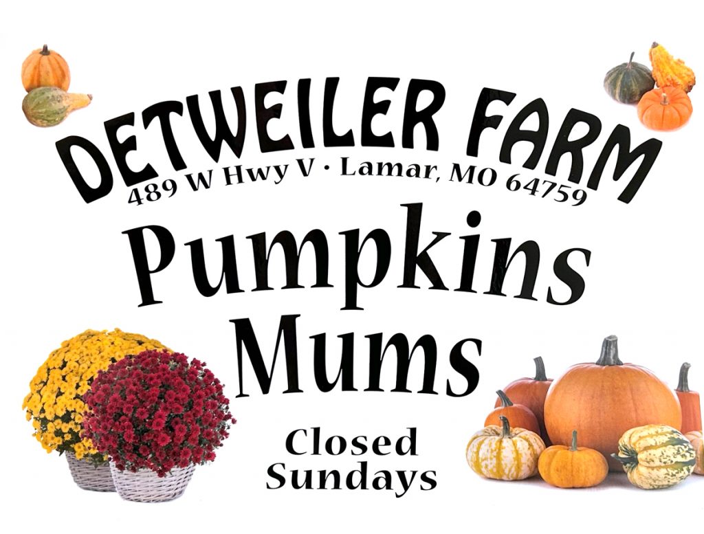 Detweiler Farm - Fall decor pumpkins mums - barton county missouri